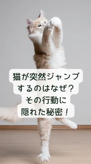 猫の雑学動画61