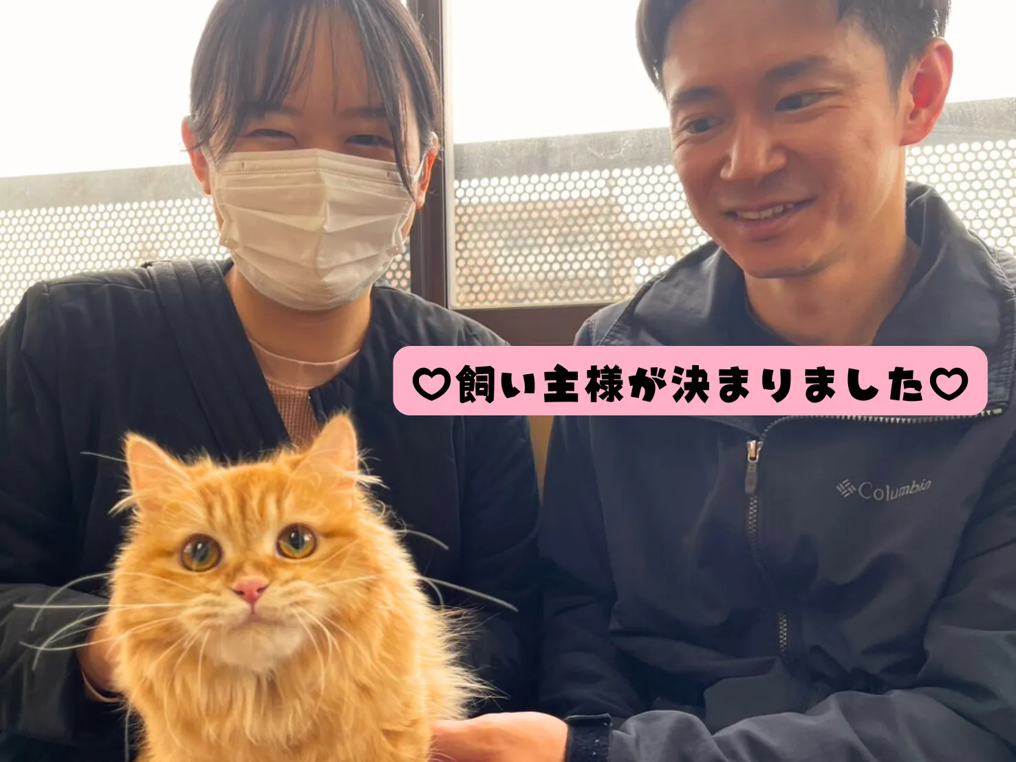 飼い主様が決まりました😸