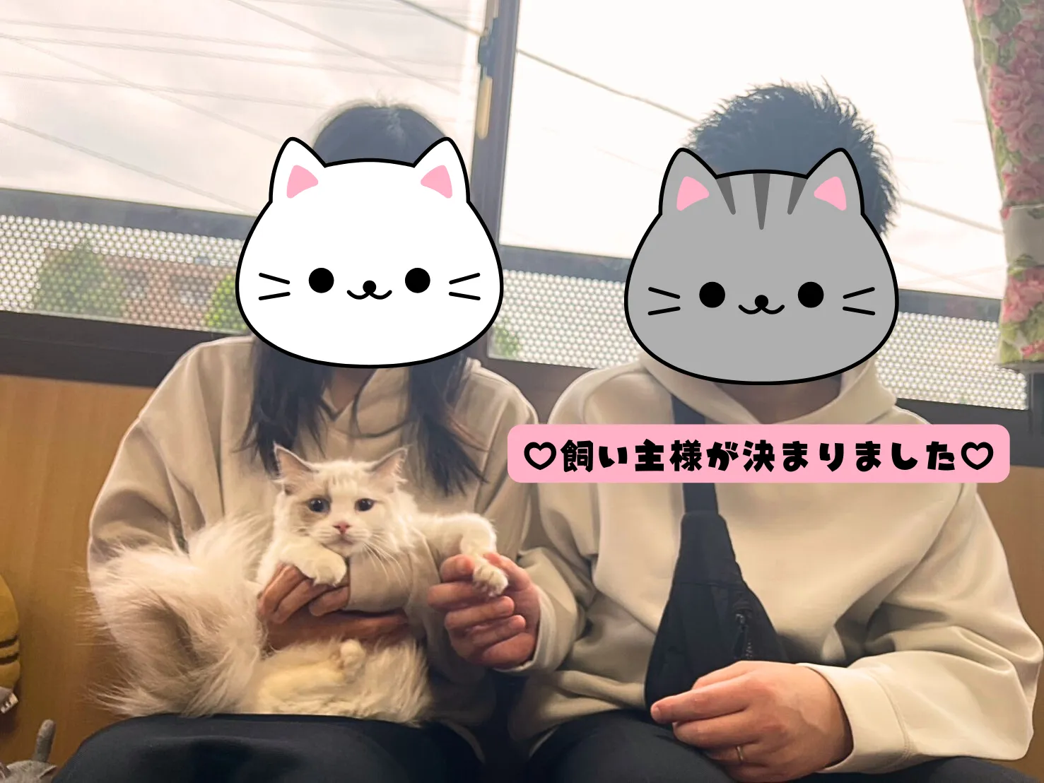 飼い主様が決まりました😸