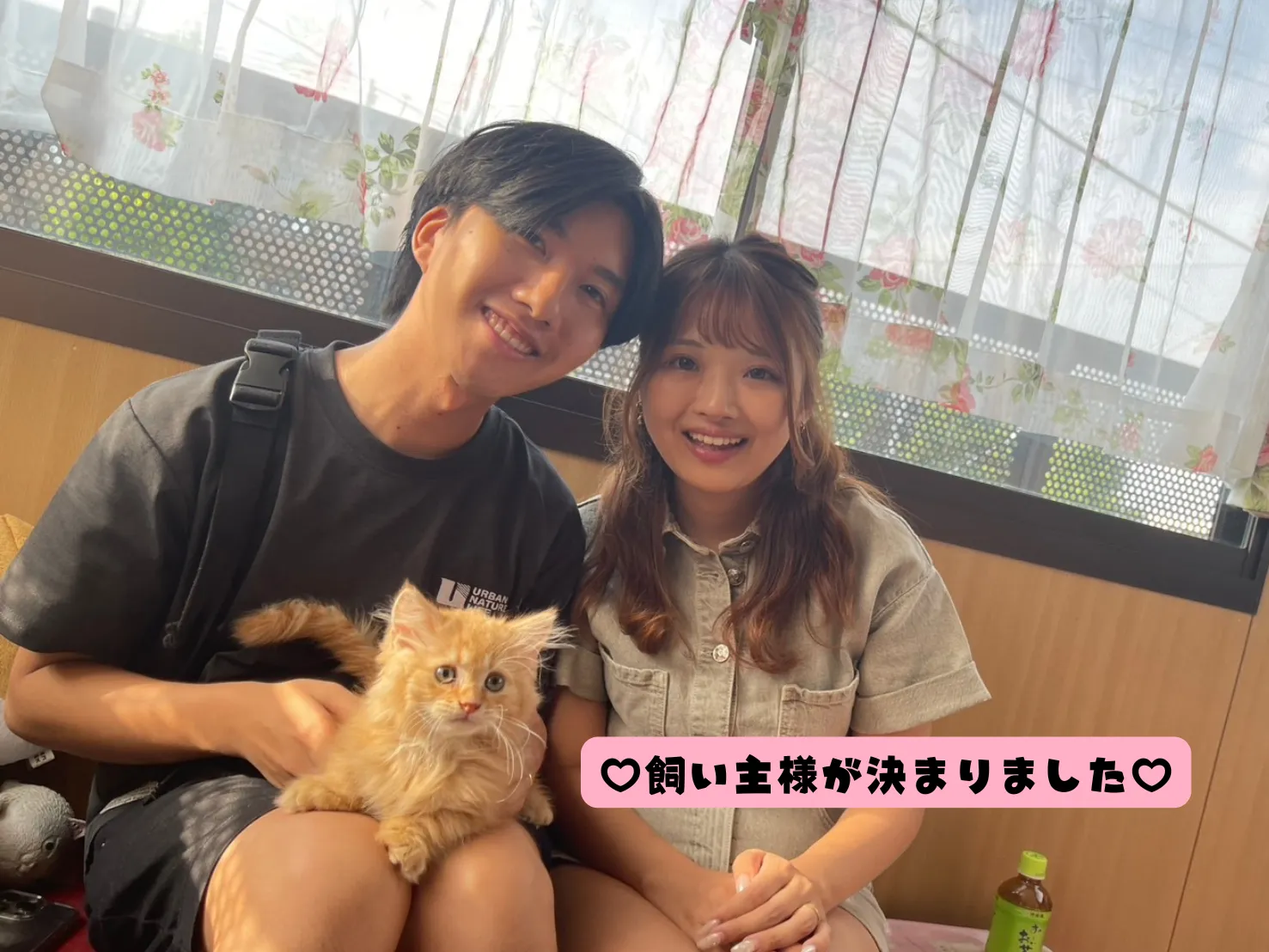 飼い主様が決まりました😸