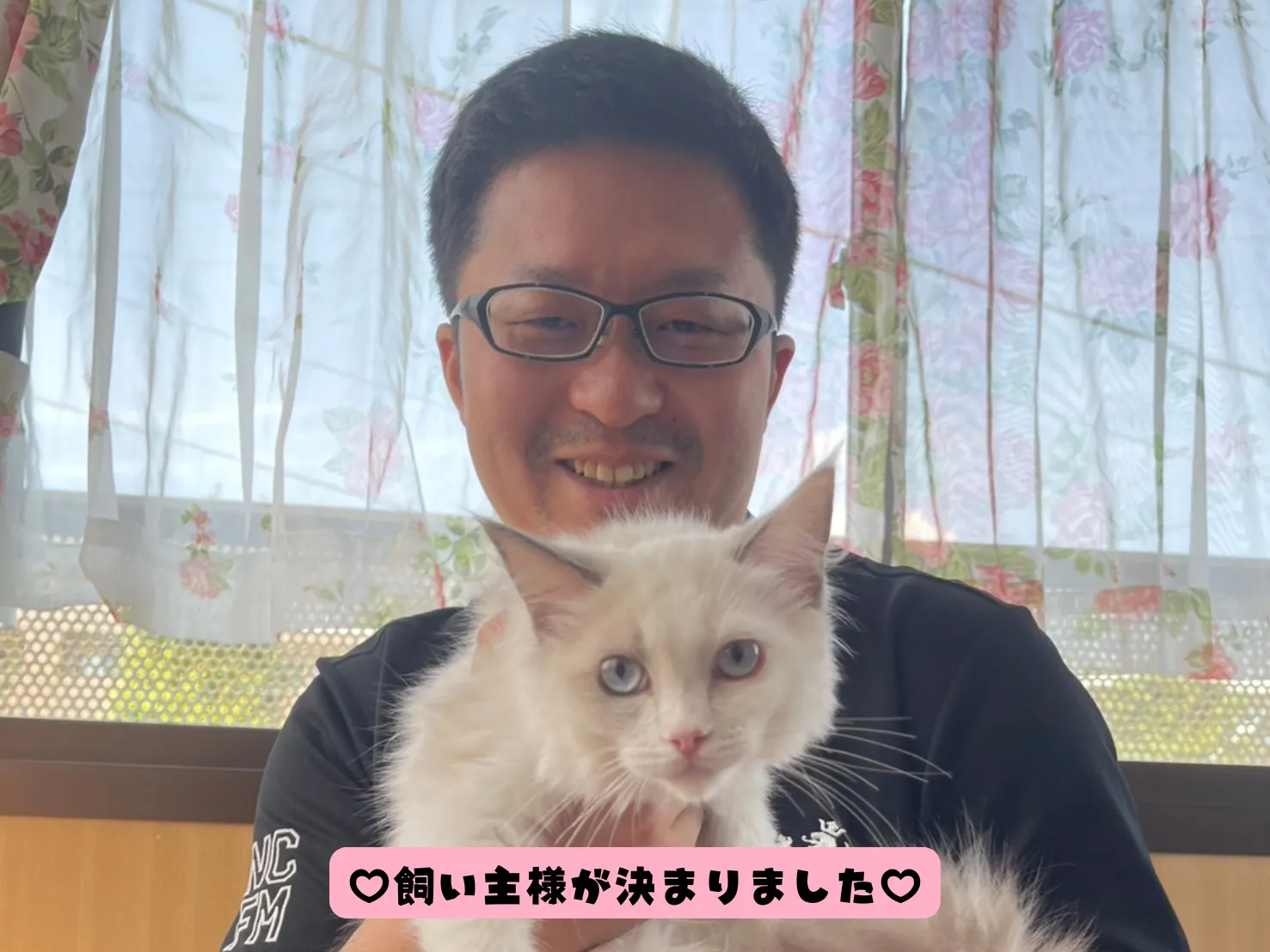 飼い主様が決まりました😸