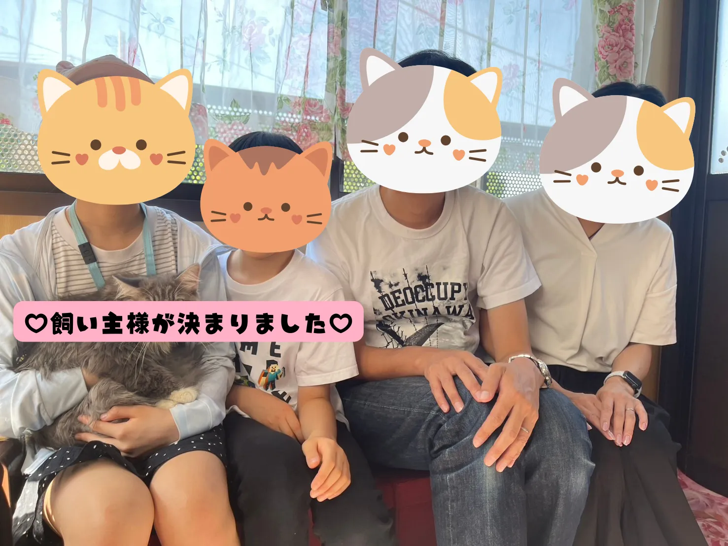 飼い主様が決まりました😸