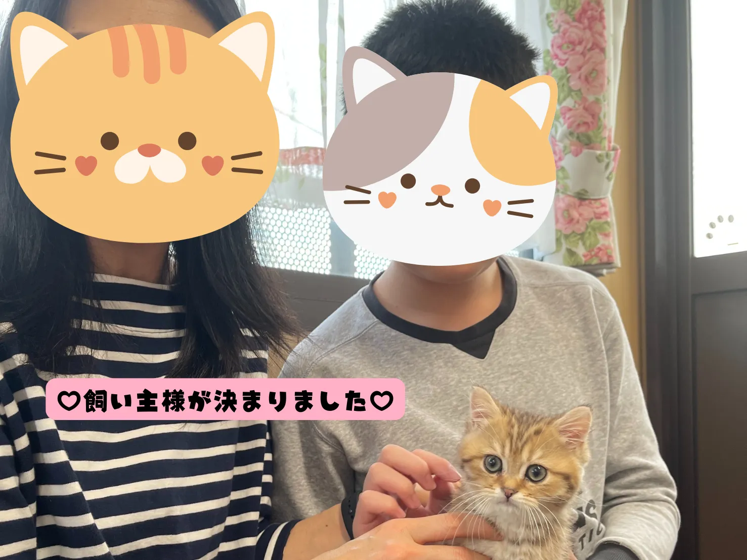 飼い主様が決まりました😸