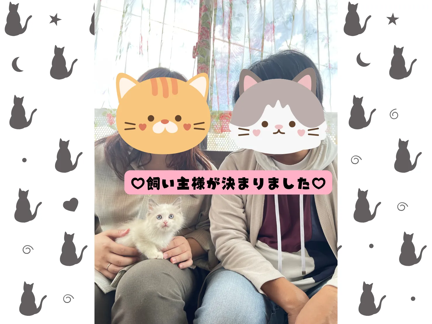 飼い主様が決まりました😸