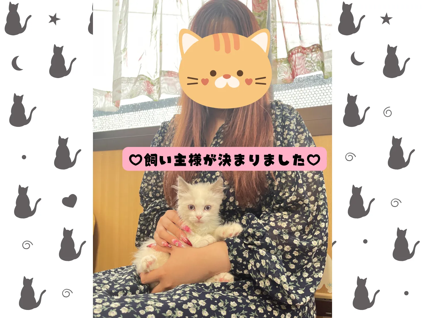 飼い主様が決まりました😸