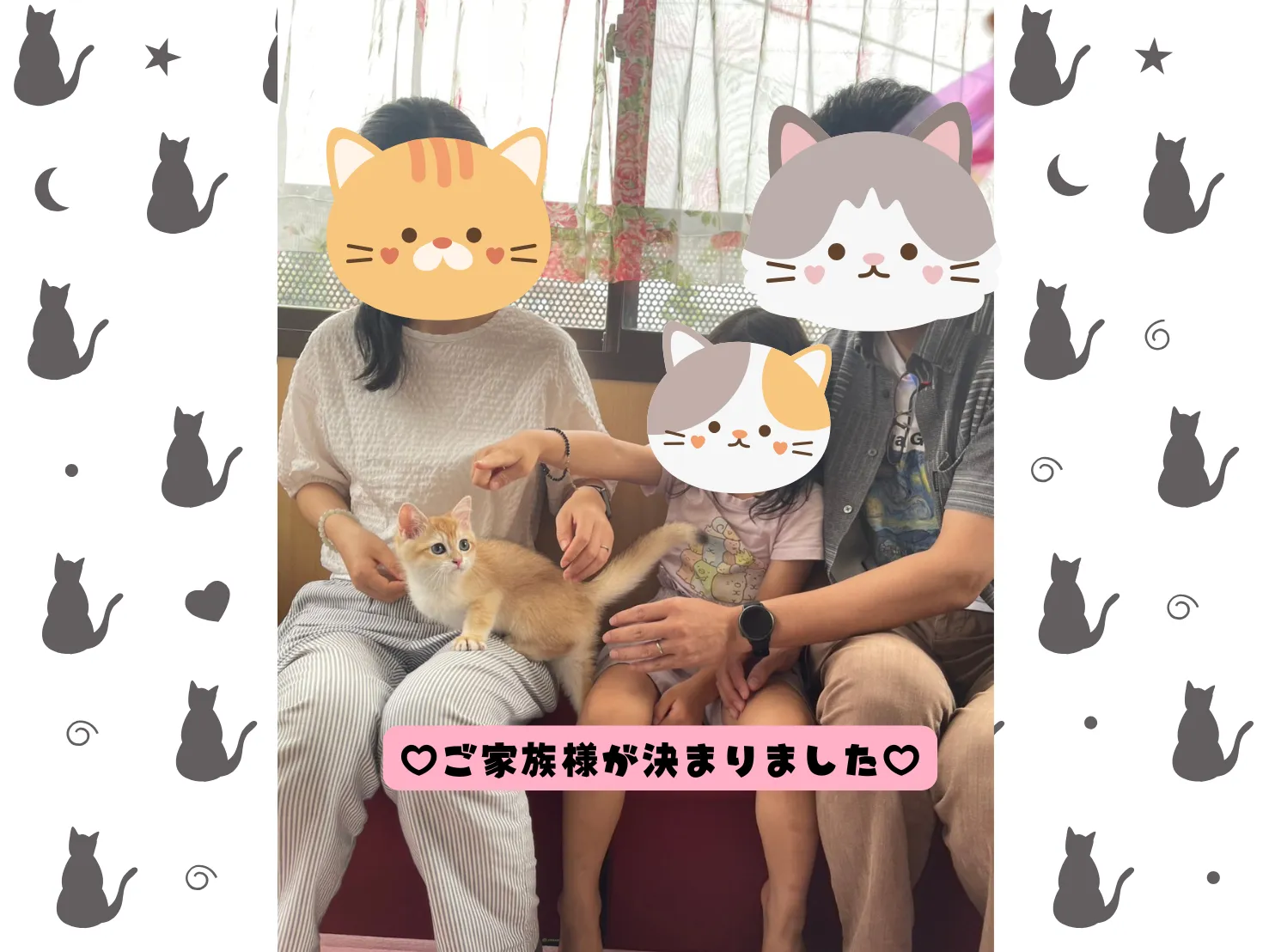 ご家族様が決まりました😸